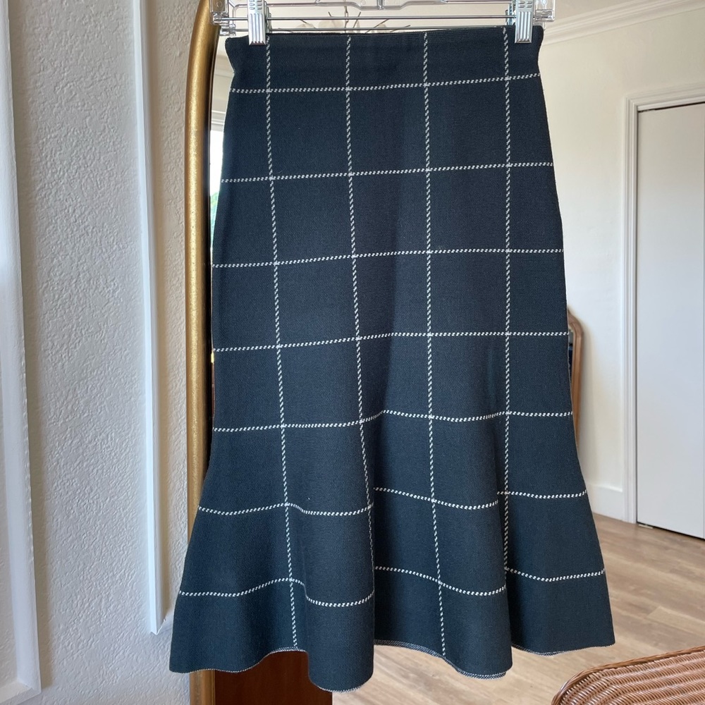 Ann Taylor Petite Skirt